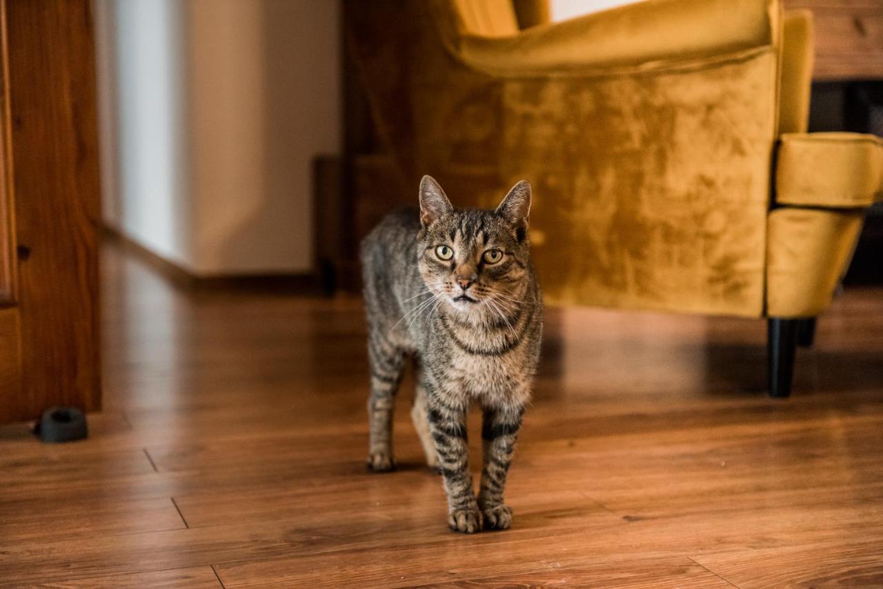4Sky Apartament オシフィエンチム エクステリア 写真
